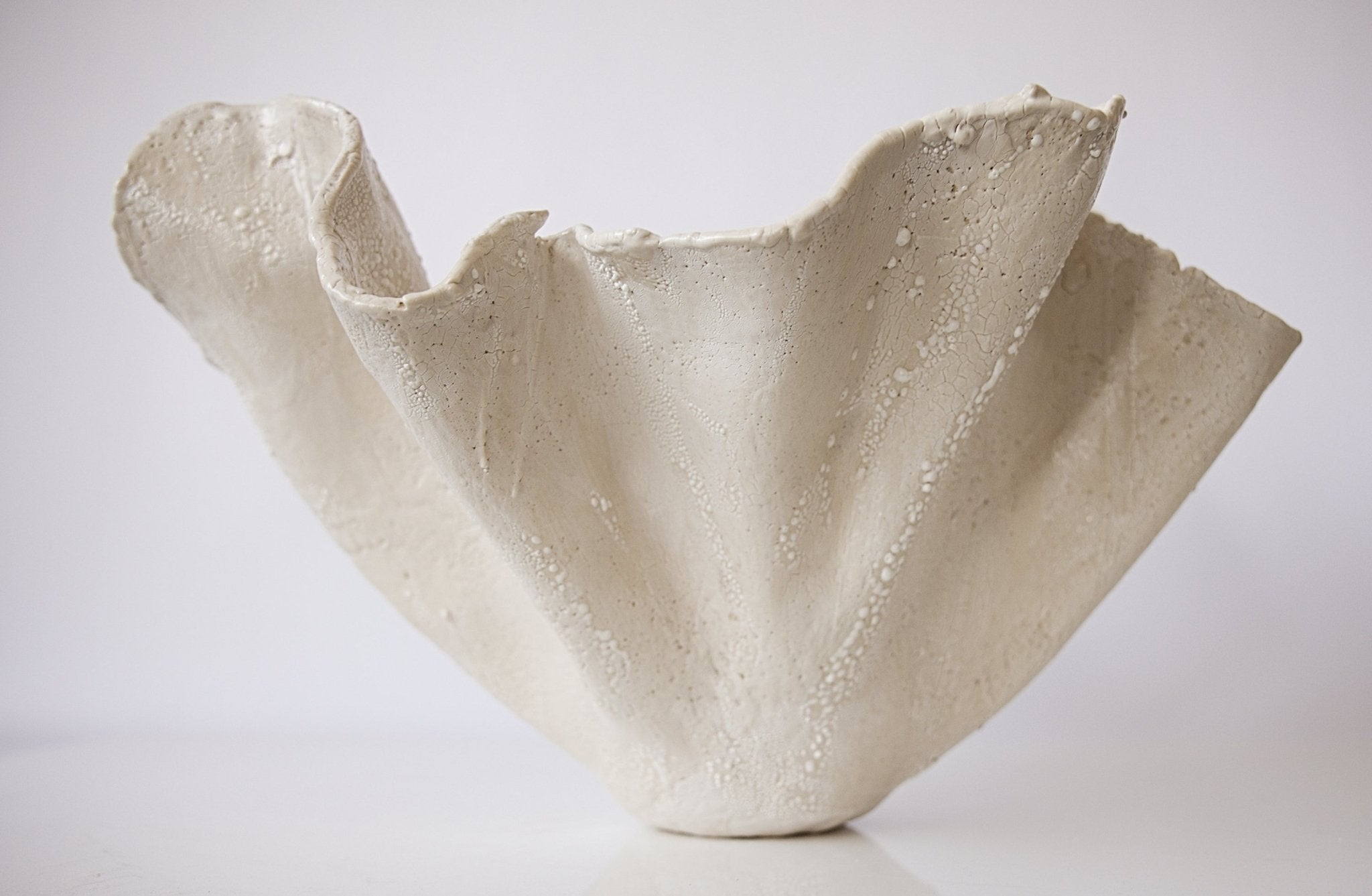 All Cream Textured Reef - Studio CT