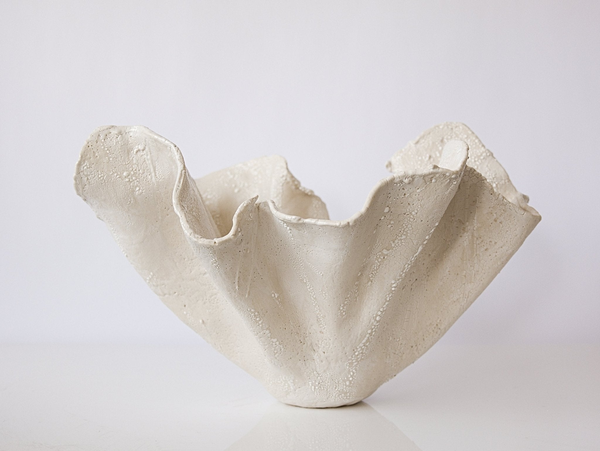 All Cream Textured Reef - Studio CT