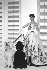 Audrey Hepburn with Poodles 59"H x 39"W - Studio CT