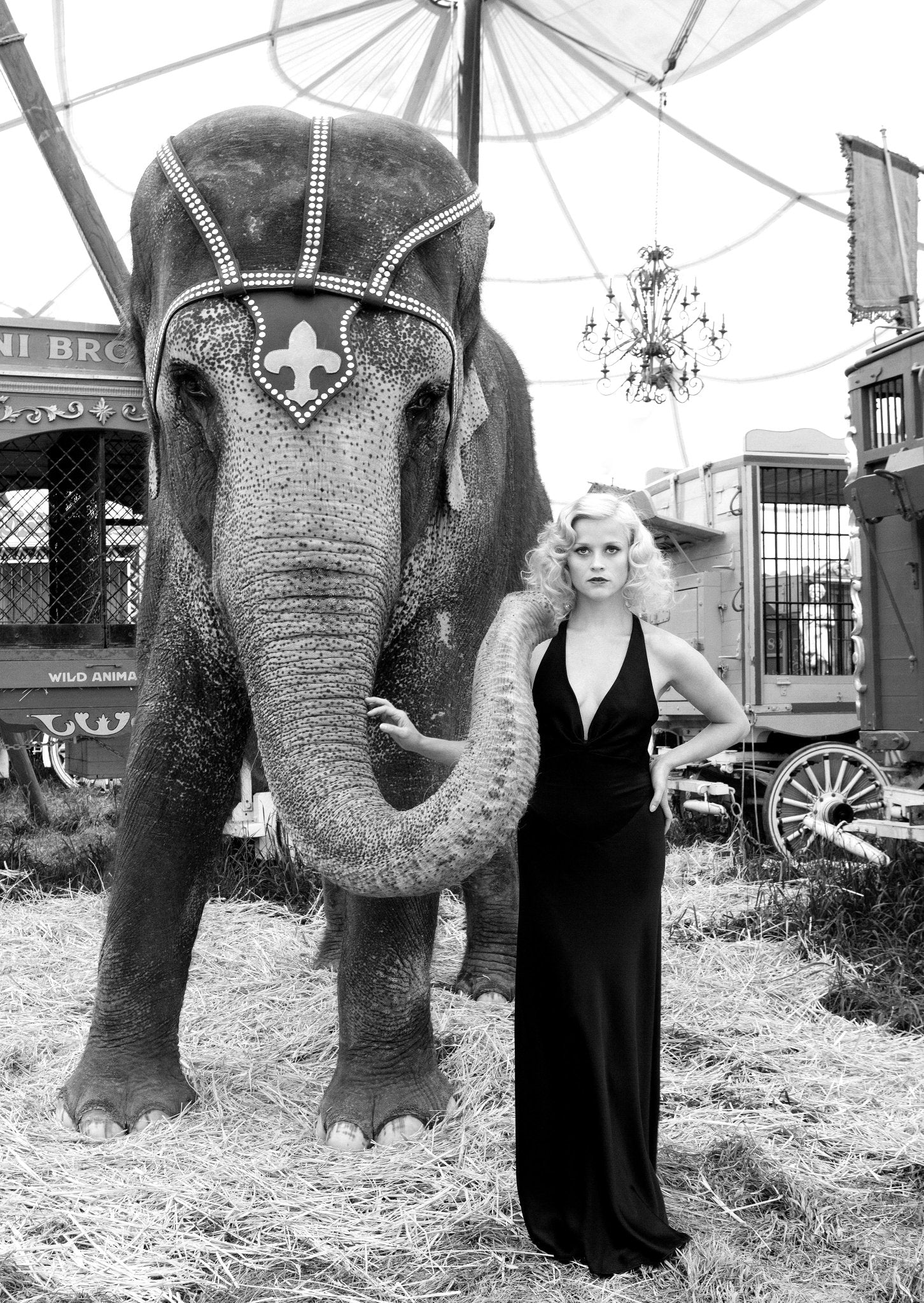 Avedon Inspired - Reese Witherspoon - Studio CT