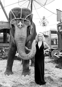 Avedon Inspired - Reese Witherspoon - Studio CT
