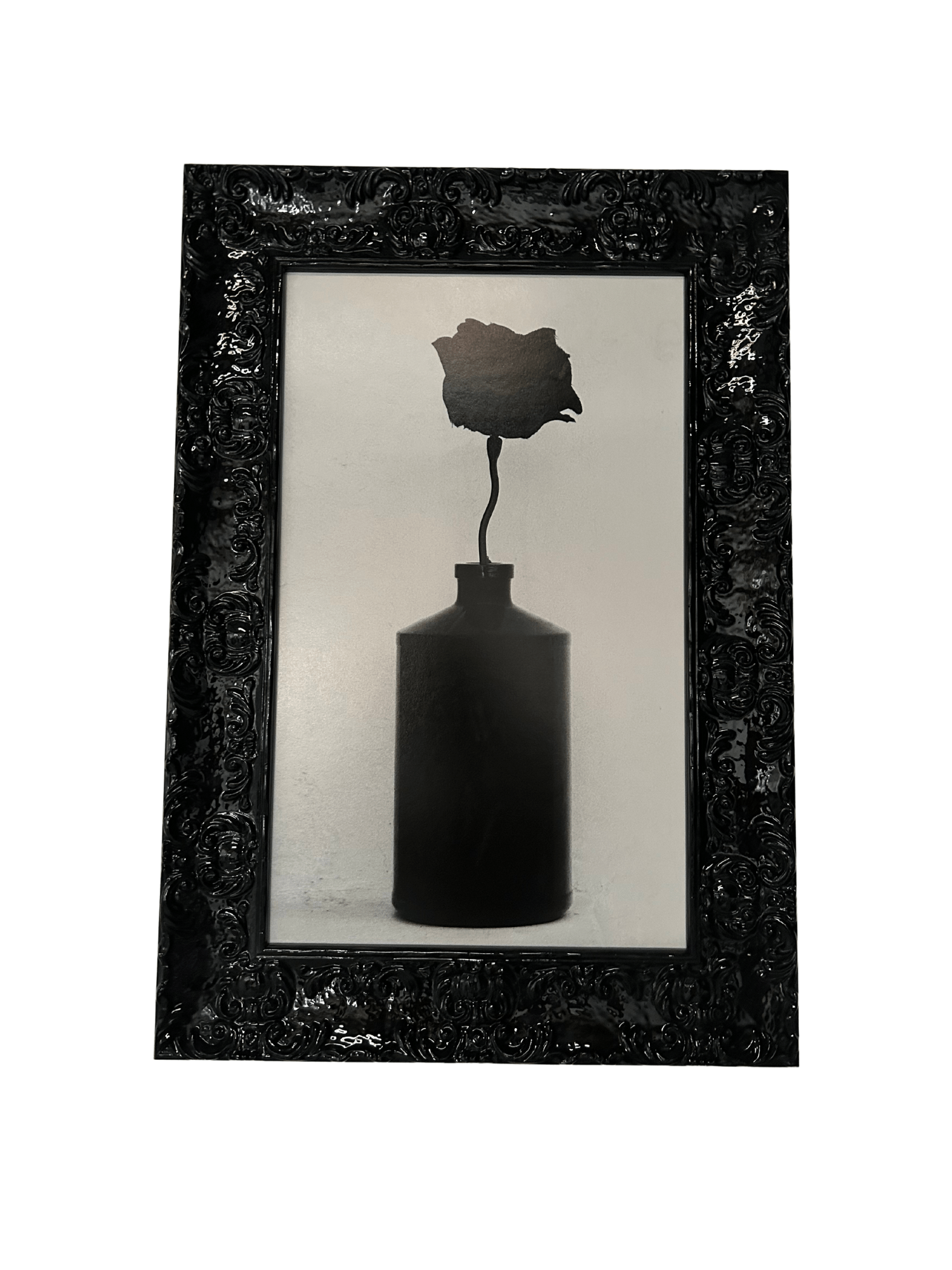 Black Rose - Studio CT