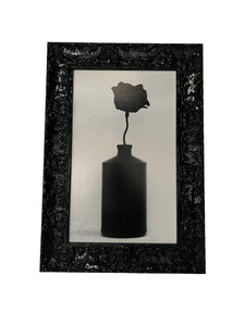 Black Rose - Studio CT