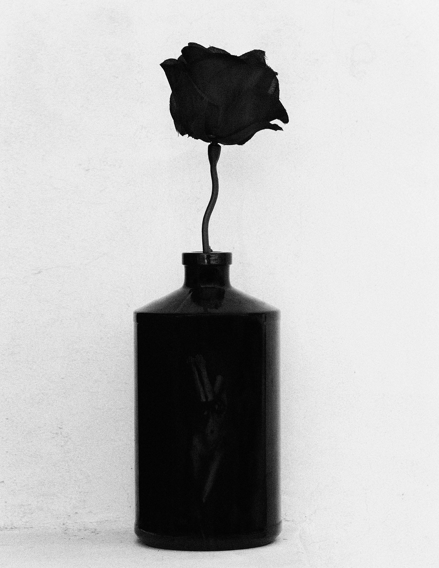 Black Rose - Studio CT