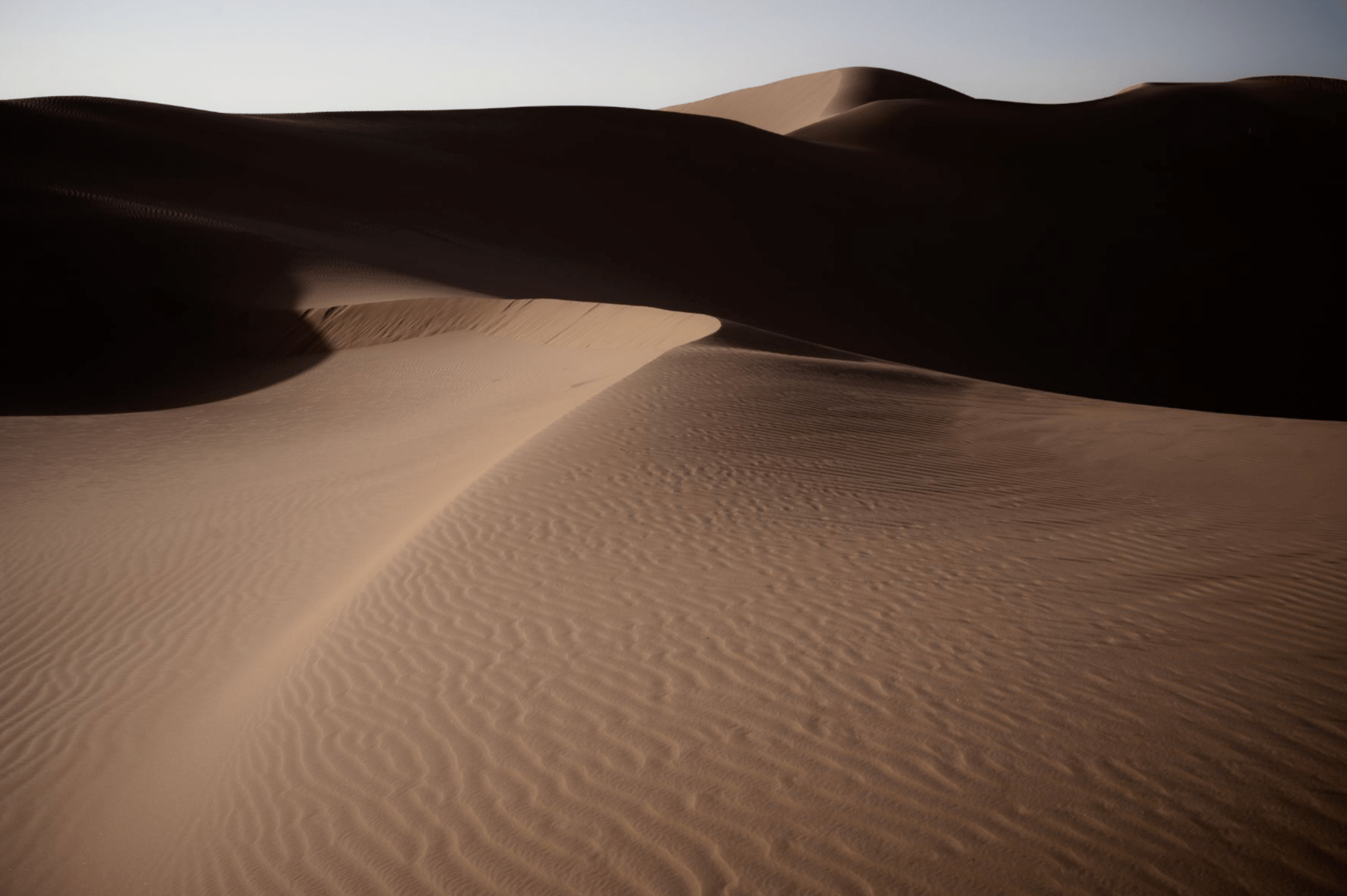 Disappear, Abu Dhabi, 2022 - Studio CT