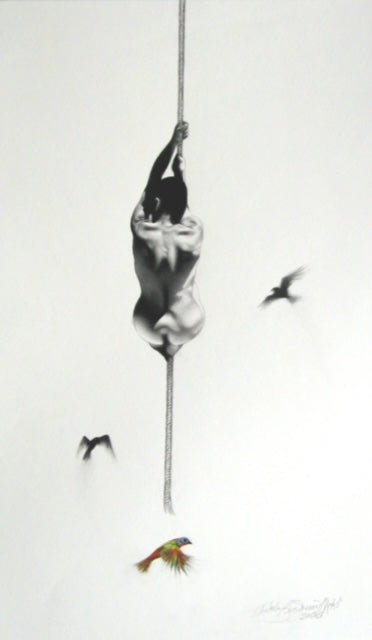 Flight - Studio CT