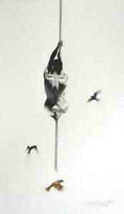 Flight - Studio CT