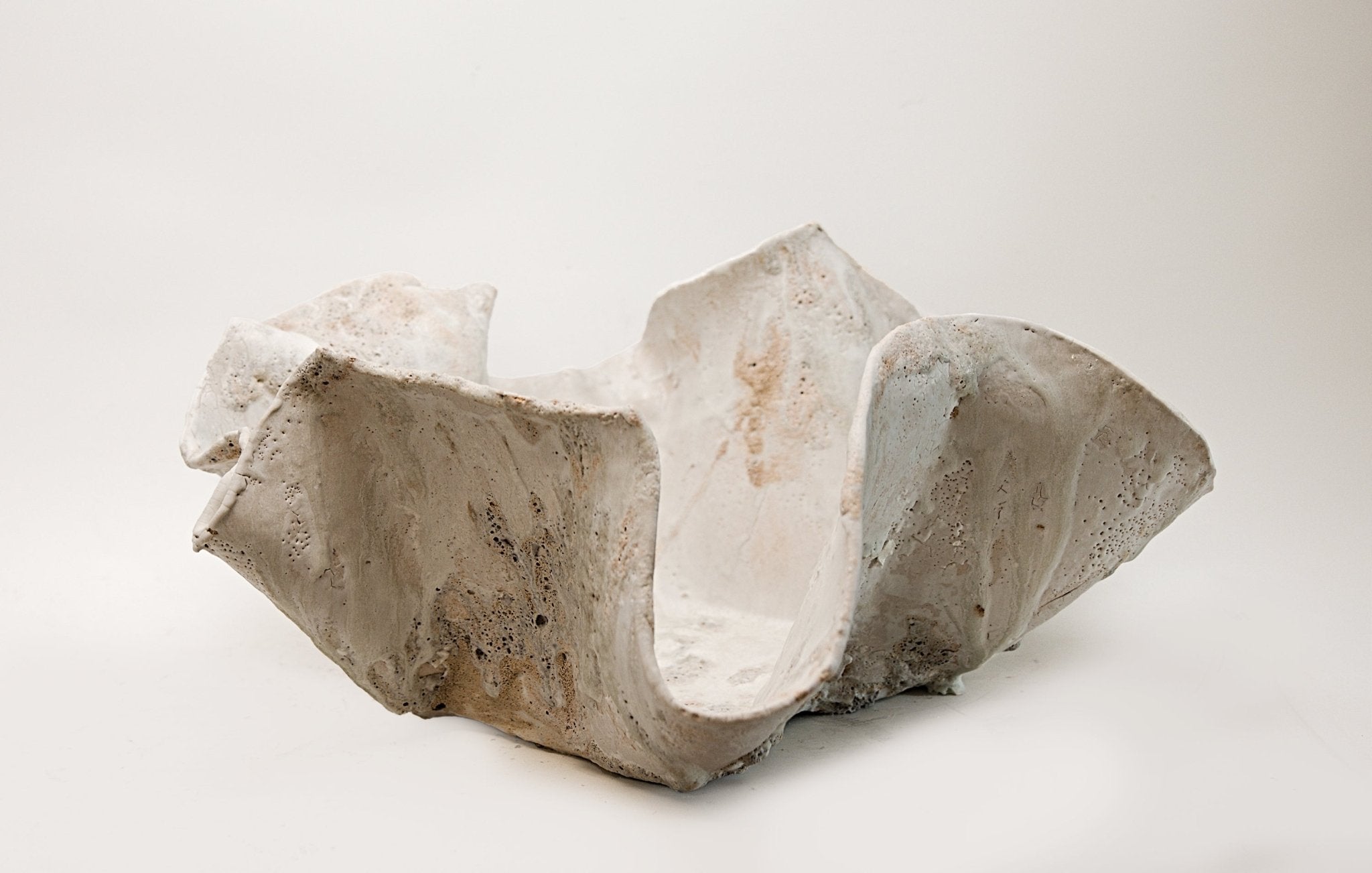 Large Low Reef Wide  1 - Studio CT