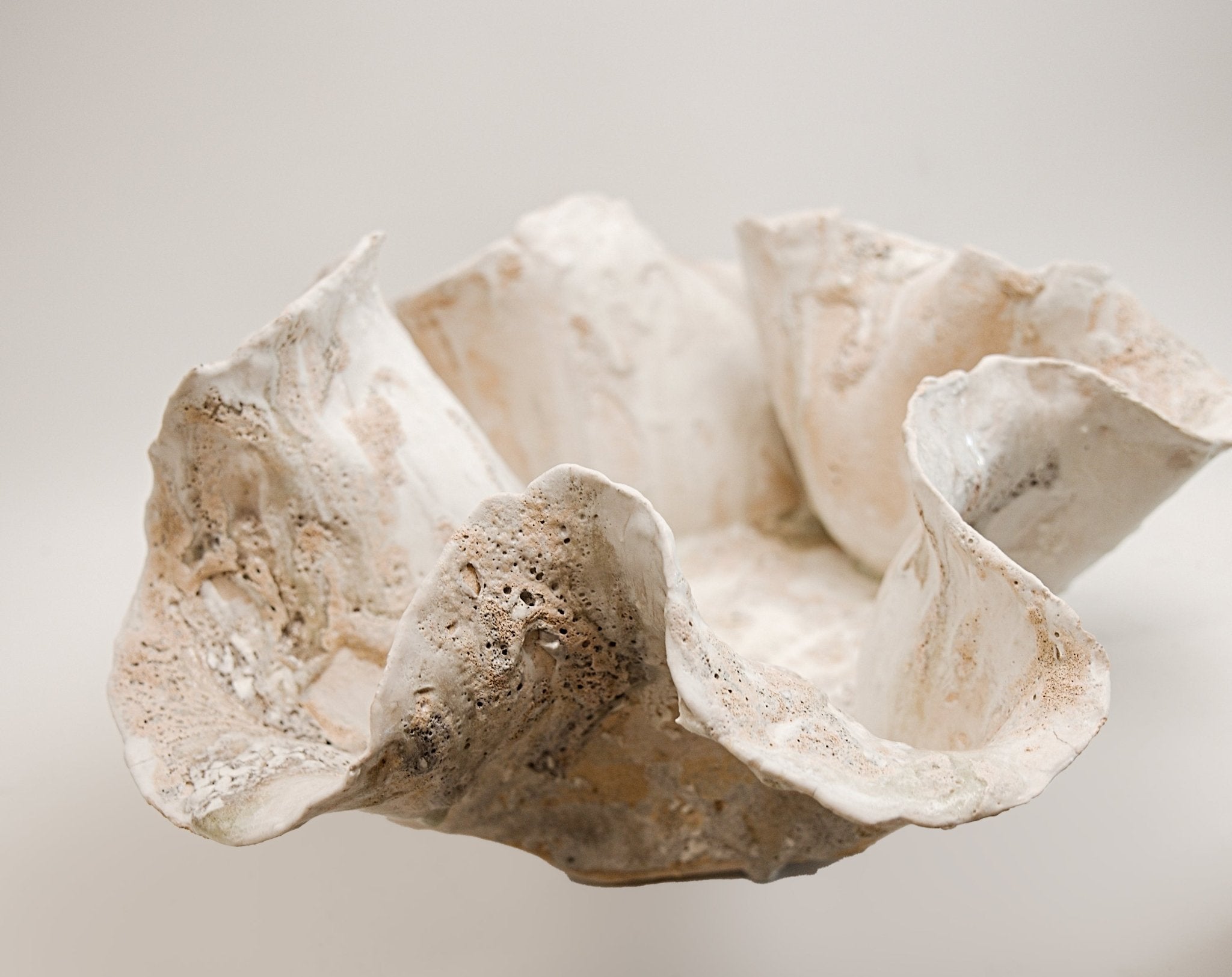 Large Low Reef Wide  2 - Studio CT