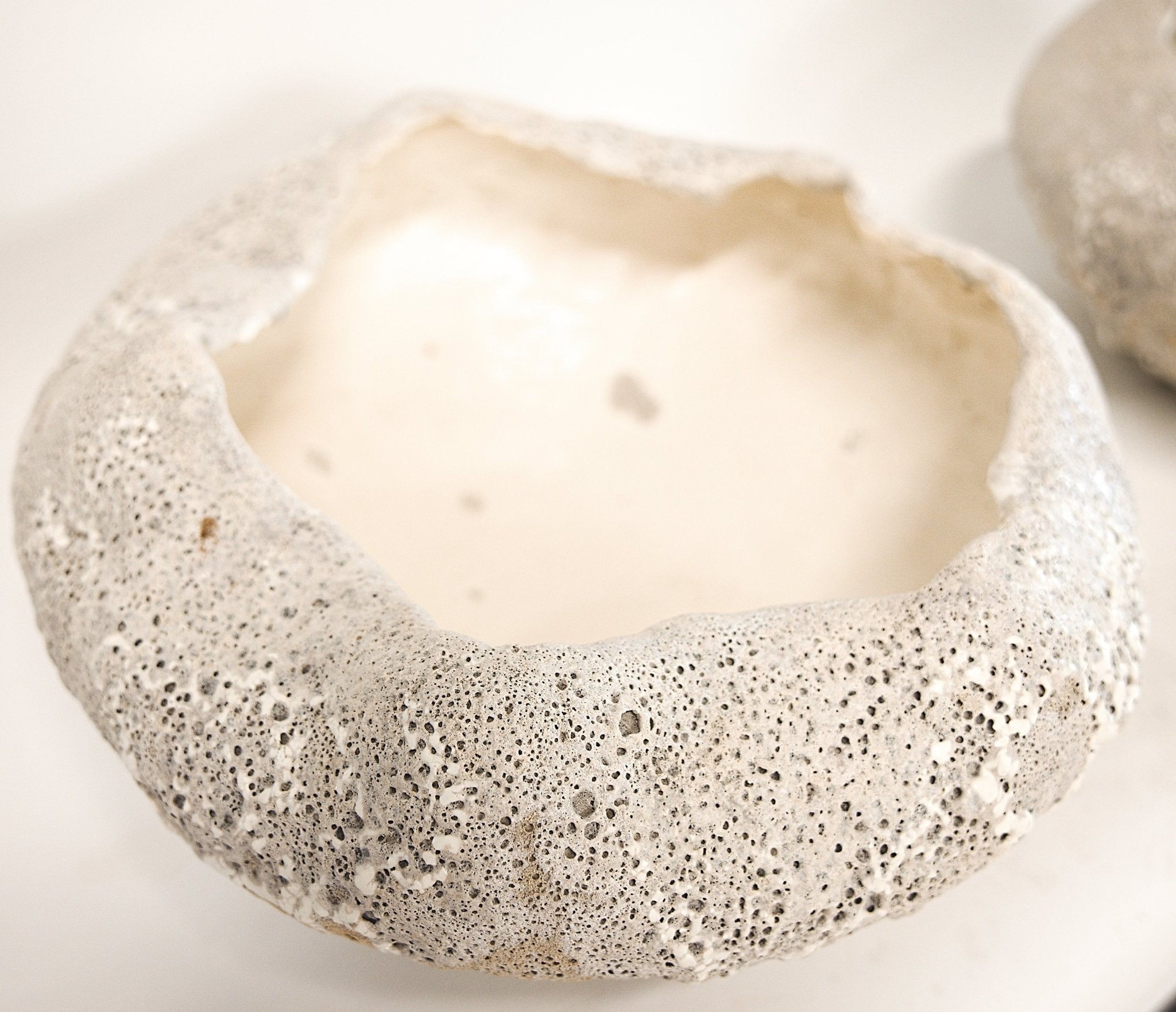 Large White Lava Bowl - Studio CT