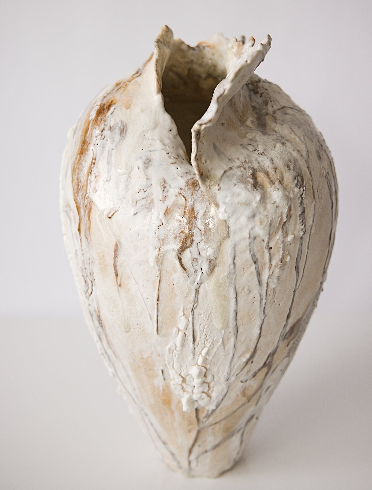 Painted Wings 1 - Studio CT