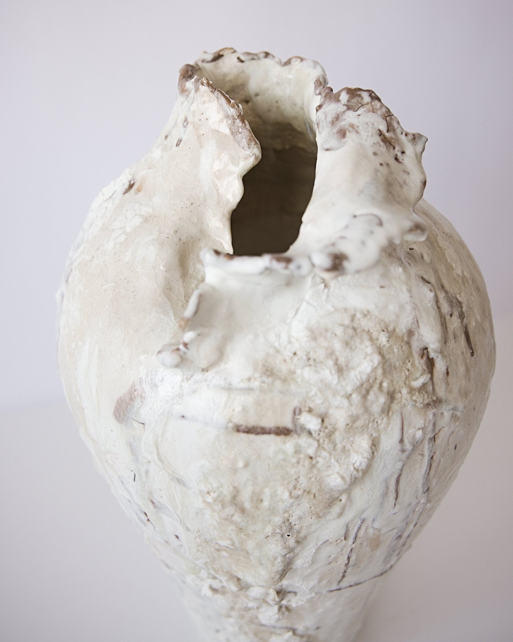 Painted Wings  2 - Studio CT