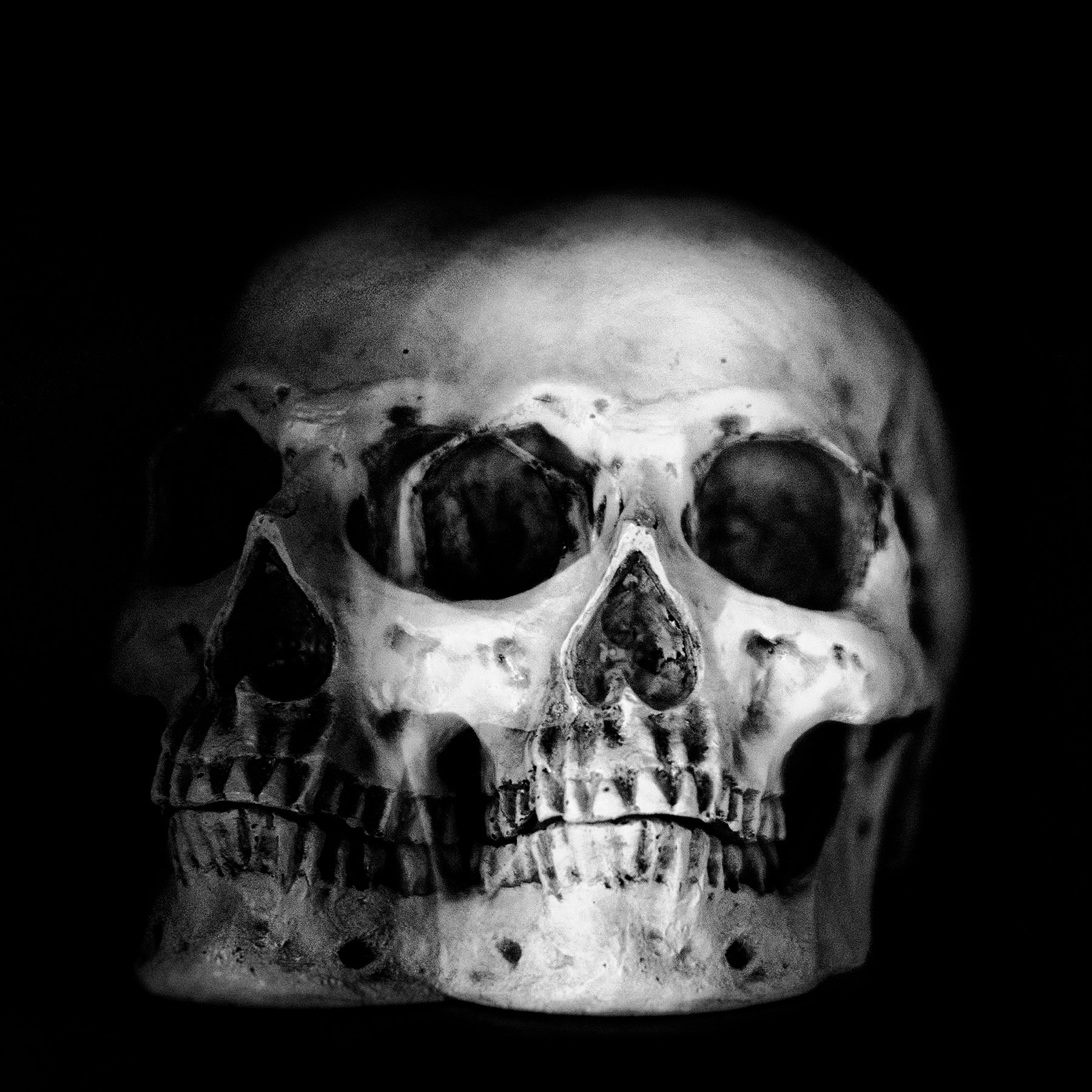 Brian Bowen Smith Iconic Photographer | Studio CT Design