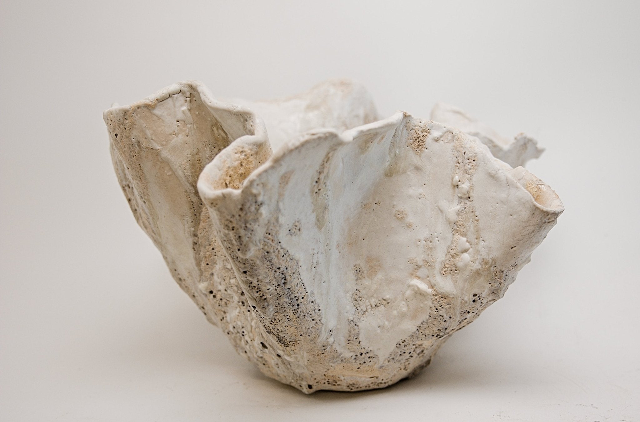 Small Reef Bowl 11" - Studio CT