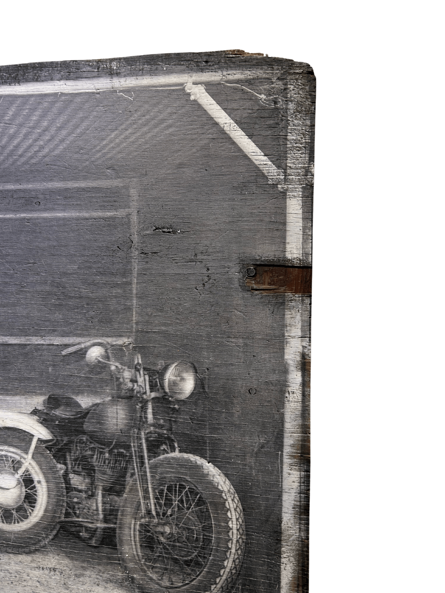 Steel Horses on Wood - Studio CT