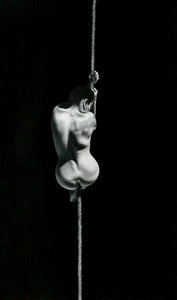 Still Life - Studio CT