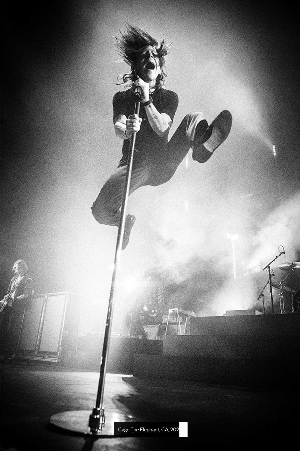CAGE THE ELEPHANT - Studio CT