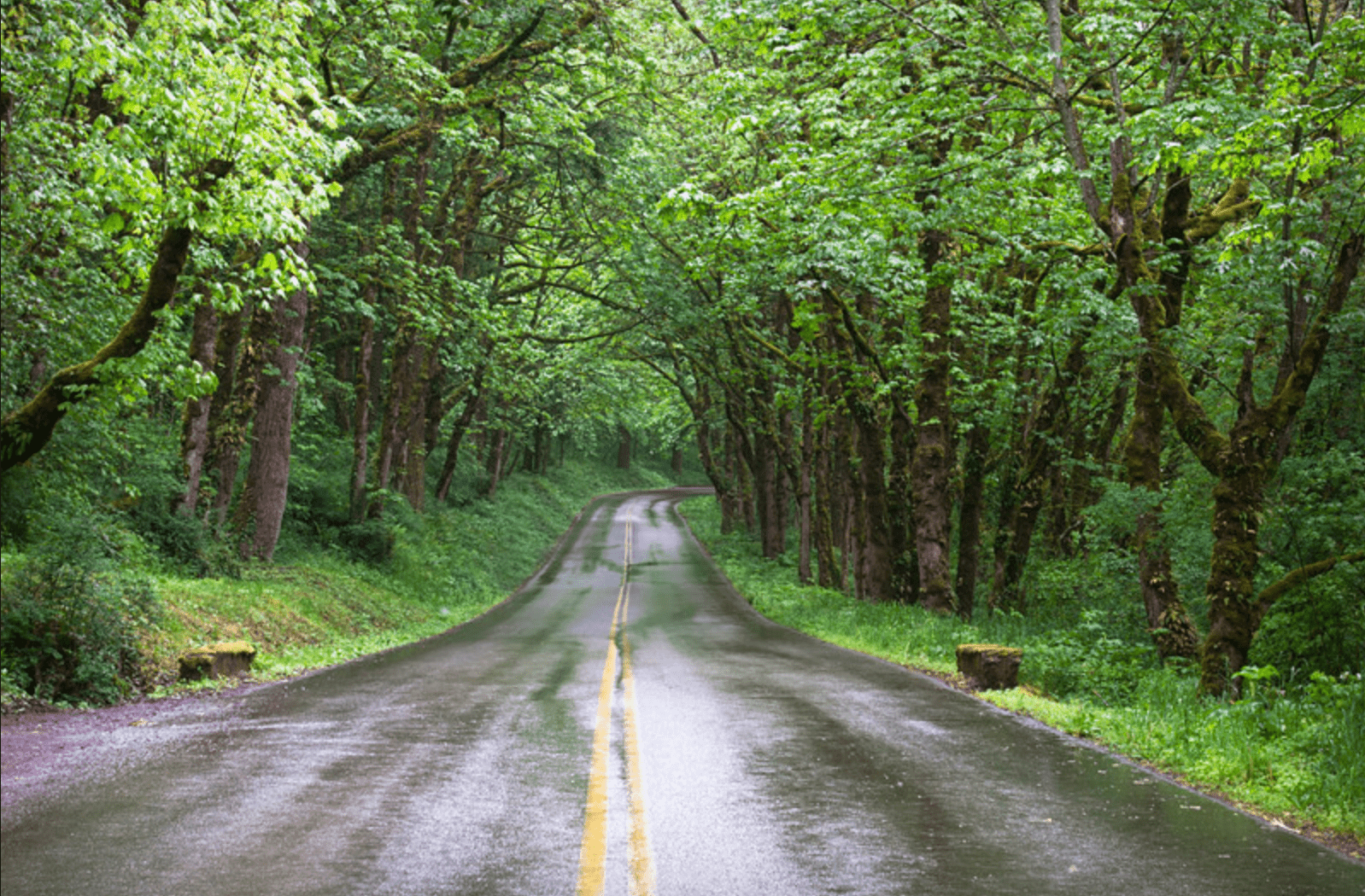 The Road - Kathi Mangel - Studio CT