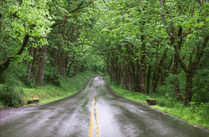 The Road - Kathi Mangel - Studio CT